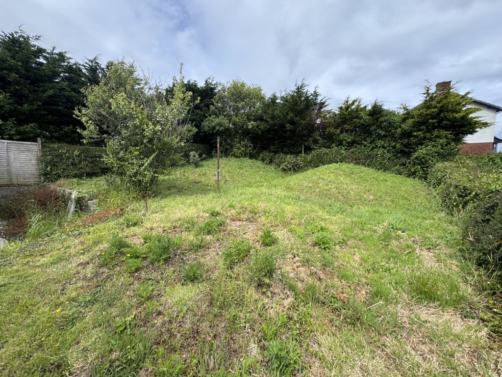 Lot: 141 - DETACHED BUNGALOW FOR IMPROVEMENT AND REPAIR - Rear garden